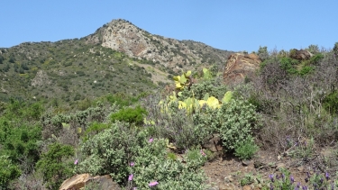 PORTBOU - TOUR DE QUERROIG - PANTA DE PORTBOU-espagne