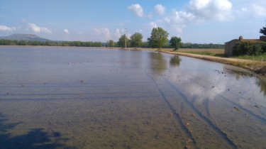 PALS - BASSES D EN COLL RIZIERES-espagne
