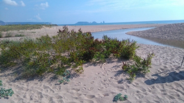 PALS - BASSES D EN COLL RIZIERES-espagne