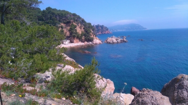 PLAYA CASTELL - CAP ROIG - CALELLA - COSTA BRAVA-espagne