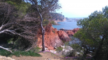 PLAYA CASTELL - CAP ROIG - CALELLA - COSTA BRAVA-espagne