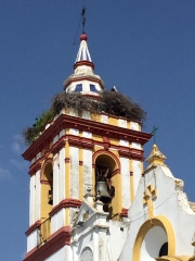 CAMINO DE SANTIAGO - VIA DE PLATA - ETAPE 2 : GUILLENA - CASTILBLANCO-espagne