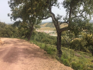 CAMINO DE SANTIAGO - VIA DE PLATA - ETAPE 3 : CASTILBLANCO - ALMADEN -espagne