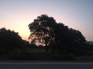 CAMINO DE SANTIAGO - VIA DE PLATA - ETAPE 3 : CASTILBLANCO - ALMADEN -espagne