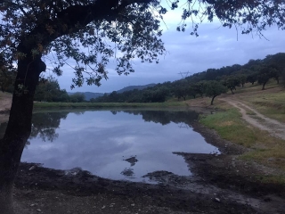 CAMINO DE SANTIAGO - VIA DE PLATA - ETAPE 4 : ALMADEN - MONASTERIO 35 KM-espagne