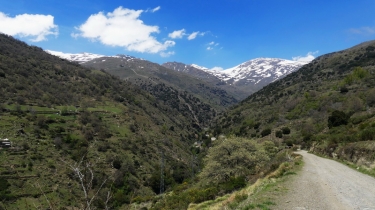 CAPILEIRA EN ANDALOUSIE-espagne