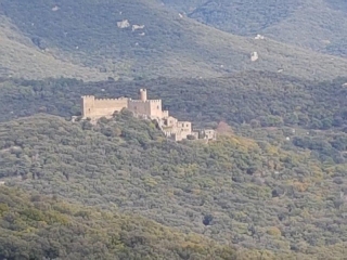 CANTALLOPS REQUESENS-espagne