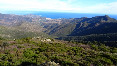 SANT QUIRZE DE COLERA  -  PUIG D EN JORDA-espagne