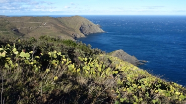 PORT BOU - QUERROIG - COLL DEL FALCO-espagne