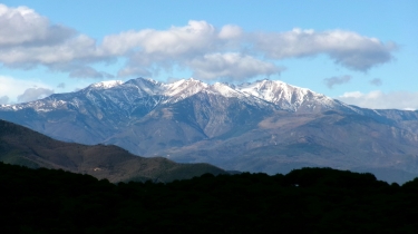LE PERTHUS - SALT DEL FITOU - CRASH DC6-espagne
