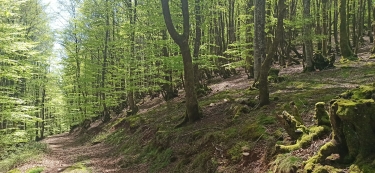 ESPAGNE -ARIZKUN/SORALAR-espagne