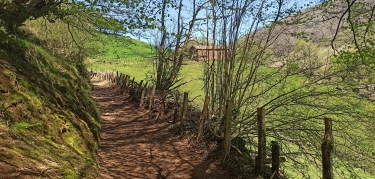 ESPAGNE -ARIZKUN/SORALAR-espagne