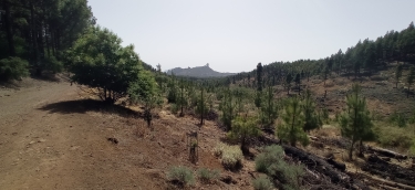 TOUR DU ROQUE NUBLO - GRANDE CANARIE-ESPAGNE-espagne