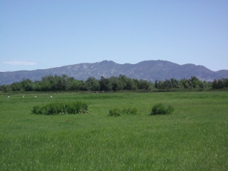 RESERVA NATURAL PARC NATURAL DELS AIGUAMOLLS - COSTA-BRAVA-espagne
