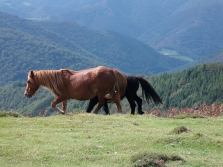 ETXALAR - AIKOLEGI - AZKUA - ETXALAR-espagne