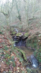 ZUGARRAMURDI - FORET GROTTES ET DOLMENS-espagne