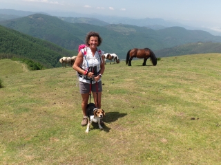 MONT UREPEL DEPUIS ARANO-espagne
