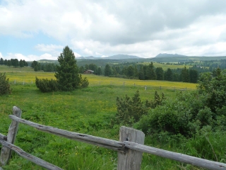 MONTEE SUR LE VILLANDERERBERG - DOLOMITES-italie