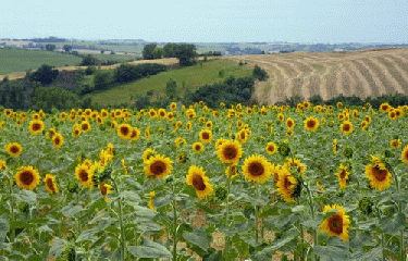 GR653 - PARTIE 3-haute-garonne