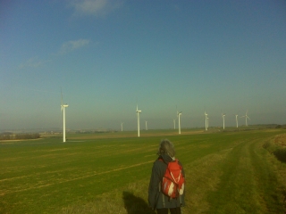 ROUMENS-haute-garonne