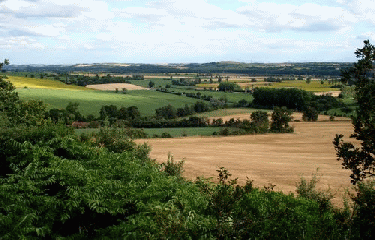 BELBERAUD - MONTLAUR-haute-garonne