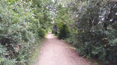 AUZEVILLE-TOLOSANE-haute-garonne