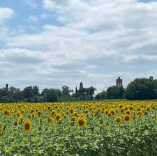 GARRIGUES - SENTIER D AZAS-haute-garonne