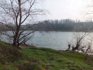 SAINT-JORY - BORD DE LA GARONNE-haute-garonne