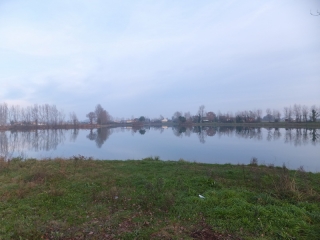 SAINT-JORY - BORD DE LA GARONNE-haute-garonne