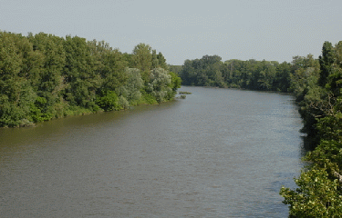 MIREPOIX-SUR-TARN-haute-garonne