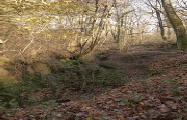 MERENVIELLE - CANYON DE BOUCONNE -haute-garonne