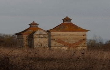 LE BURGAUD - FORET DES CHEVALIERS DE MALTE-haute-garonne