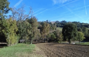 MONTASTRUC-LA-CONSEILLERE-haute-garonne