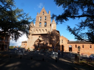 PIBRAC - FORET DE LA BOUCONNE-haute-garonne