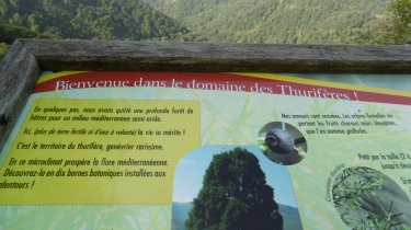 MARIGNAC - SENTIER DES THURIFERES - CHAPELLE SAINT MARTIN-haute-garonne