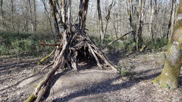 FORET BOUCONNE (VARIANTE)-haute-garonne