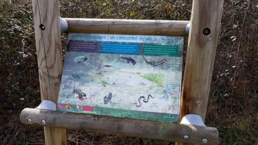 FORET BOUCONNE (VARIANTE)-haute-garonne