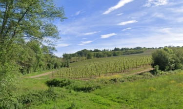 VIELLA – LA FONTAINA-gers