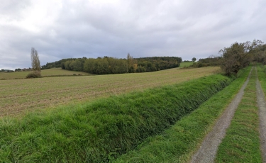 MARCIAC – CIRCUIT DES CHAMPS-gers