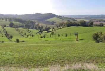 MARCIAC – CIRCUIT DES CHAMPS-gers