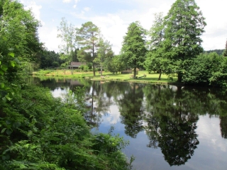 ALLEMAGNE - LE RUMBERG - STEIG A LUDWIGSWINKEL-reste-du-monde