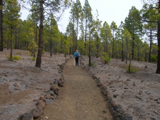 TENERIFE - VILAFLOR - PAYSAGE LUNAR-reste-du-monde