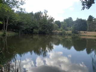 ALLEMANGE - LOSHEIM AM SEE - FELSENWEG-reste-du-monde