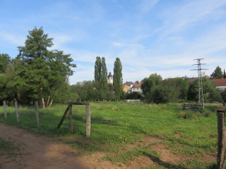 ALLEMAGNE - SUR LES HAUTEURS DE CONTWIG-reste-du-monde