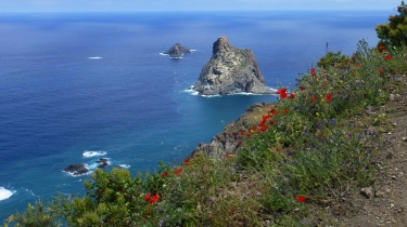 CANARIES - TENERIFE - CHAMORGA EN PASSANT PAR LE PHARE DE ANAGA-reste-du-monde