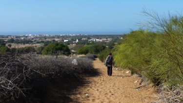 MAROC - SIDI-KAOUKI AU SUD D ESSAOUIRA-reste-du-monde