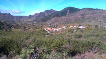 TENERIFE - VALLEE DE ARRIBA-reste-du-monde