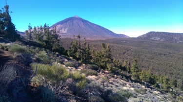 TENERIFE - ALTO DE GUAMASO-reste-du-monde