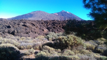TENERIFE - CHAVAO-reste-du-monde