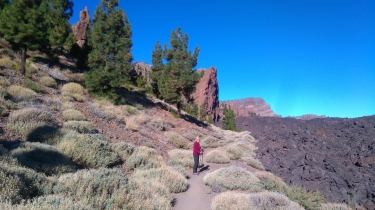 TENERIFE - CHAVAO-reste-du-monde